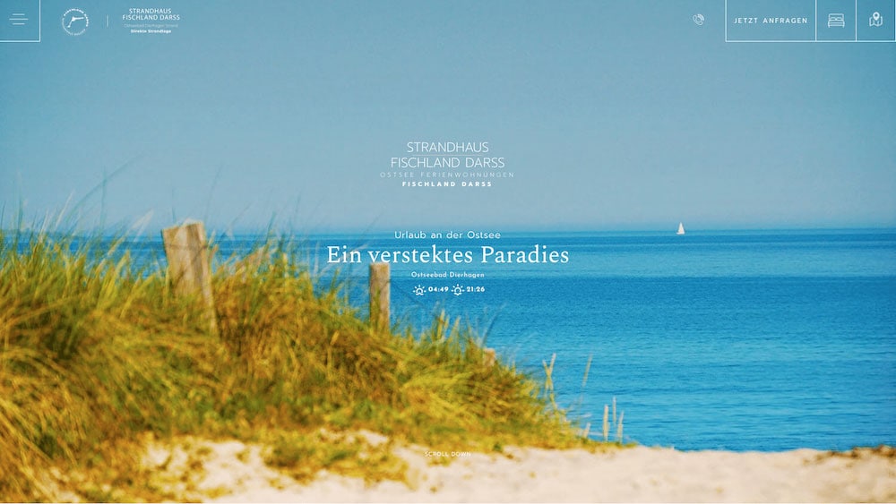 Startseite der Website Strandhaus Fischland-Darß mit Dünengras und Ostsee
