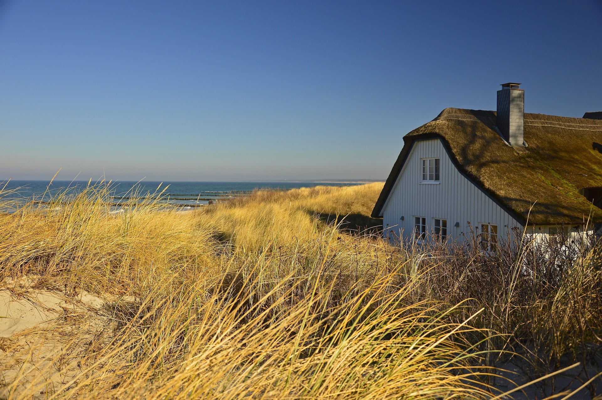 Reetgedecktes Haus hinter den Dünen am Ostseestrand