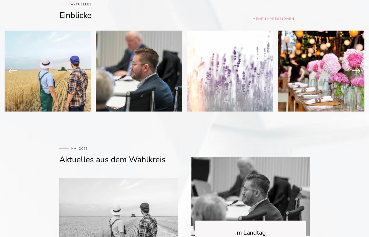 Politik Webseite Design Agentur